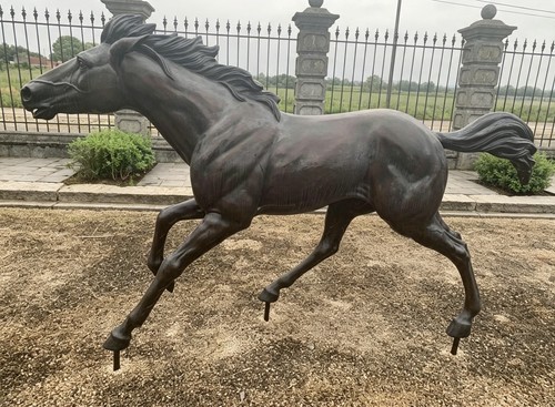 Bronze xxl horse - xxl,