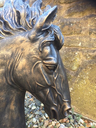 Horse head stallion bust - horse,