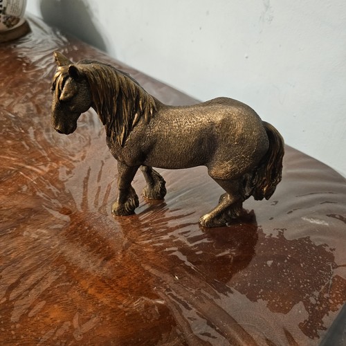 Small bronze colour - colour, horse