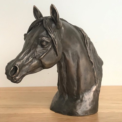 Bronze arab horse head - horse,