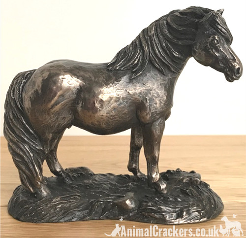 Shetland pony bronze - bronze, figurine