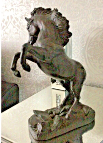 Beautiful stunning rare - stunning, horse