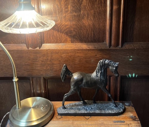 Vintage arab stallion horse - arab,